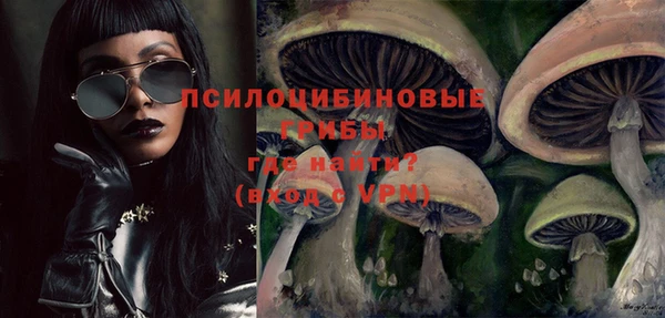 герыч Долгопрудный