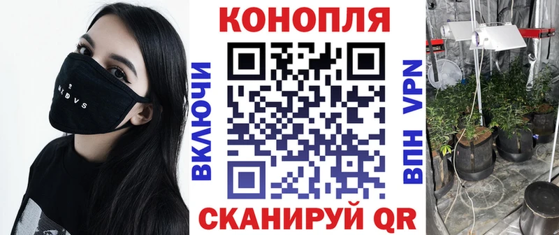 купить наркотики цена  Шахунья  Бошки Шишки Amnesia 